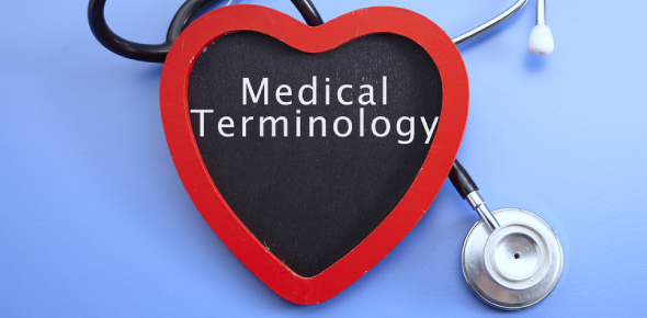 Define The Following Medical Terminology For Beginners Flashcards